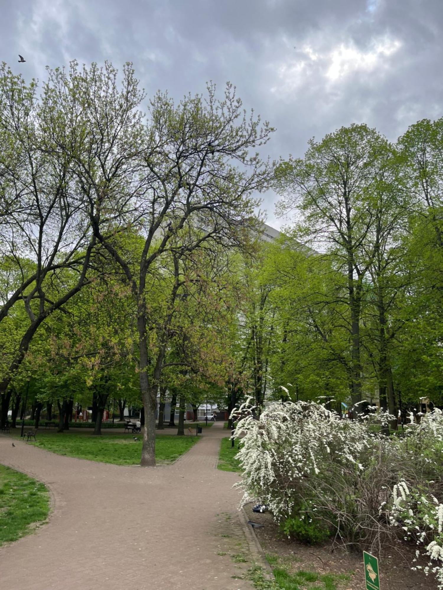 Grzybowska * Warszawa